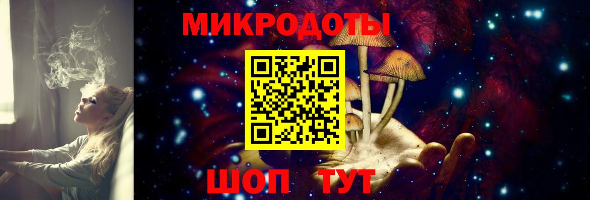 Псилоцибиновые грибы Psilocybine cubensis  Галлюциногенные грибы GOLDEN TEACHER  Курган  Вход с VPN 